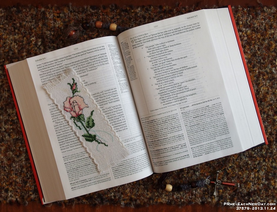 37879RoCrLe - Best. Book. Ever